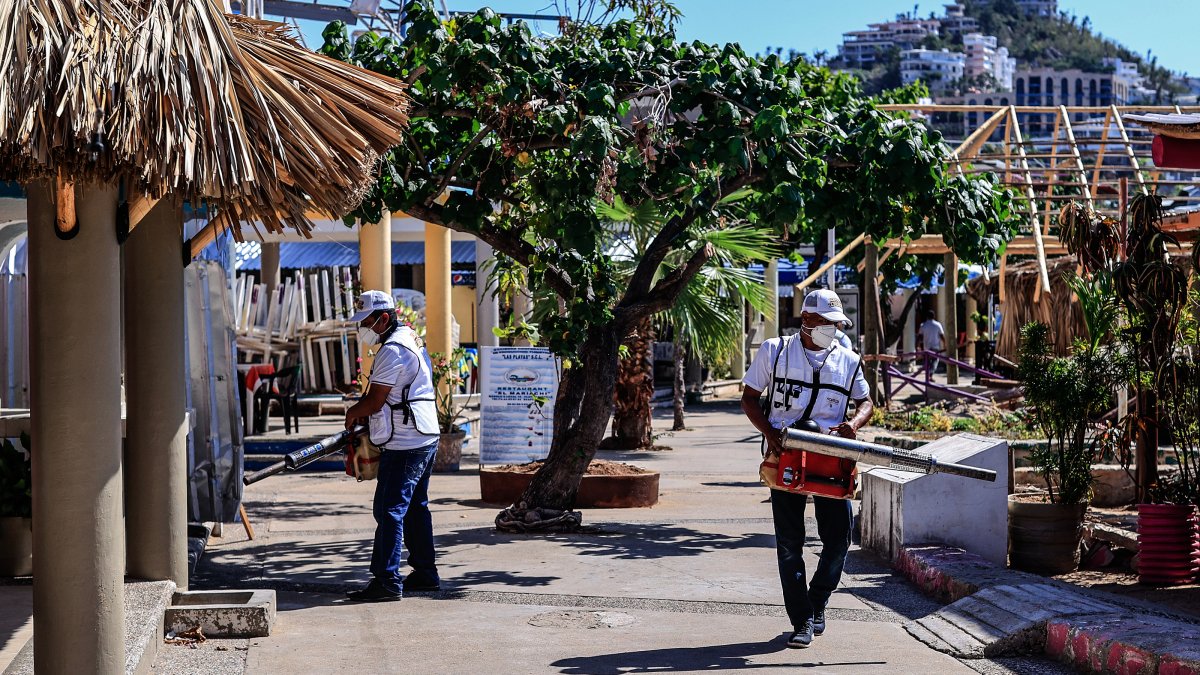 Trabajadores participan en una jornada de fumigación en zonas propensas a la proliferación de los mosquitos transmisores del dengue, en Acapulco (México).