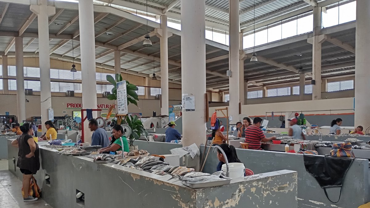 Espacio. Por problemas ligados sobre todo a la insalubridad, el centro municipal de abastos permanece prácticamente vacío.