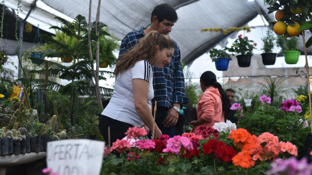 En toda la parroquia de Nayón existen más de 300 negocios de este tipo que cuentan con una gran variedad de especies de plantas decorativas y medicinales
