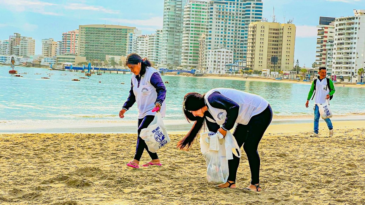 Se encontró restos de comida, tarrinas y botellas plásticas.