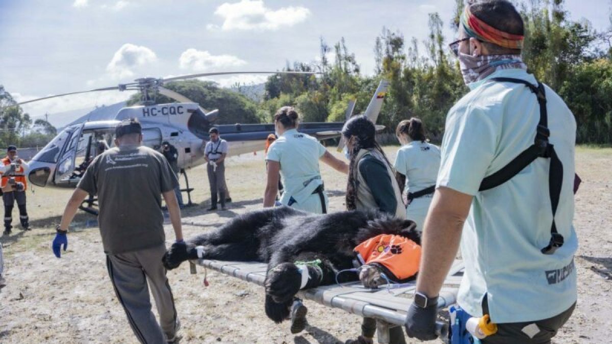 Tupak fue subido al helicóptero a las 09:30 del domingo 31 de marzo.