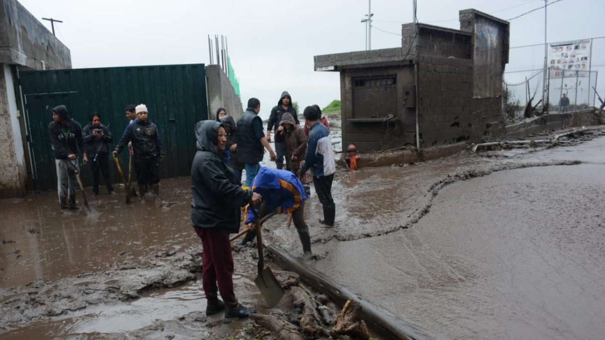 Limpieza del sector.