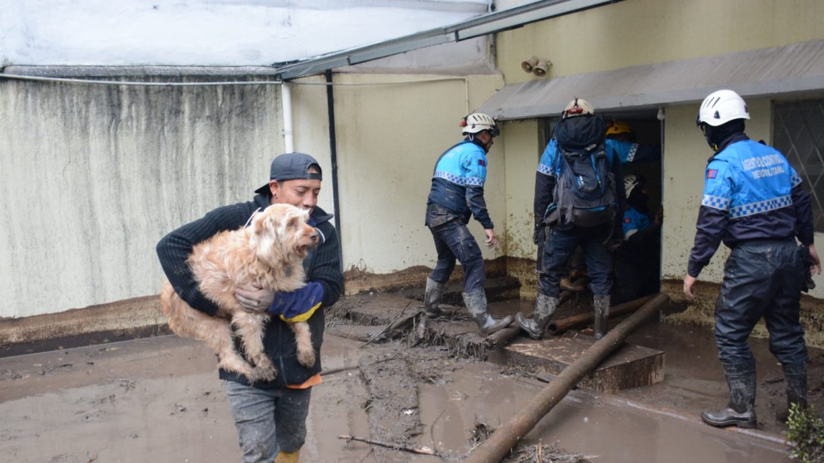 Rescate de mascotas y personas atrapadas