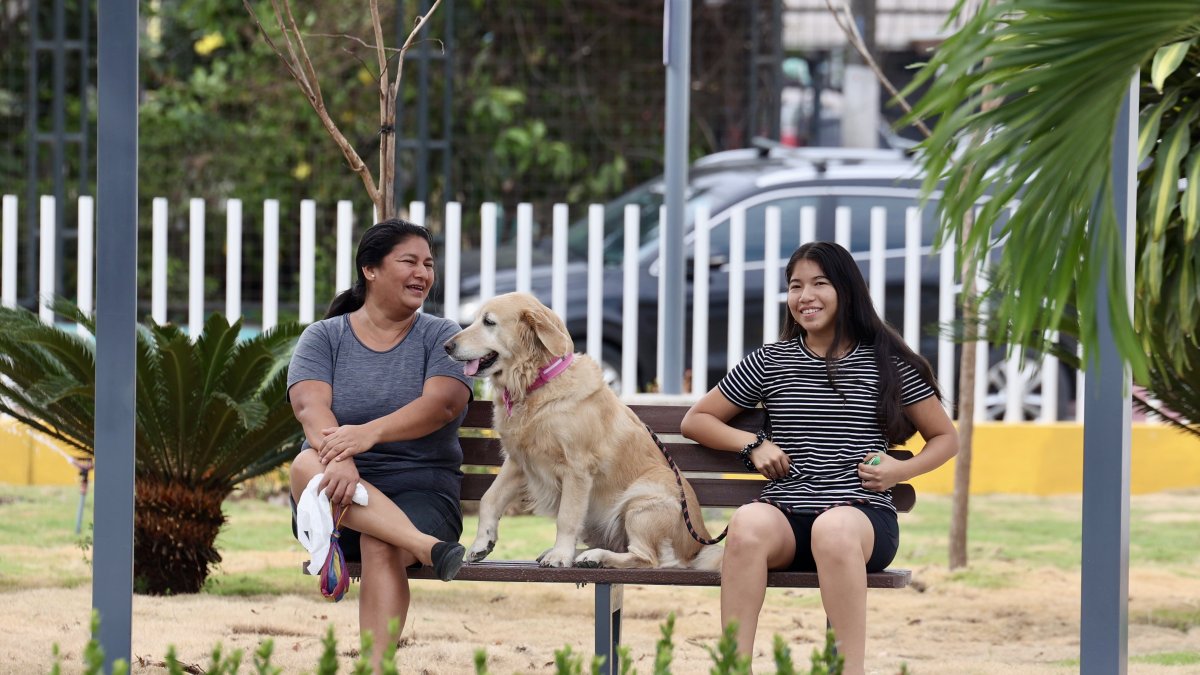 Apenas el parque fue inaugurado, empezaron a llegar los vecinos en compañía de sus familias y mascotas.