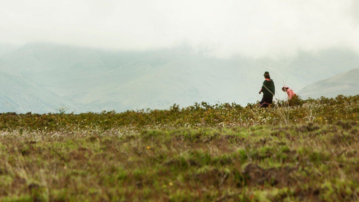 El Parque Nacional Cayambe-Coca es un área protegida localizada al nororiente de Ecuador.