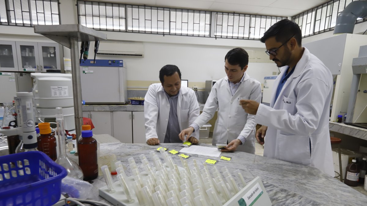 Recolección. Las instituciones buscan recoger suficientes muestras para mostrar sus resultados en un año.