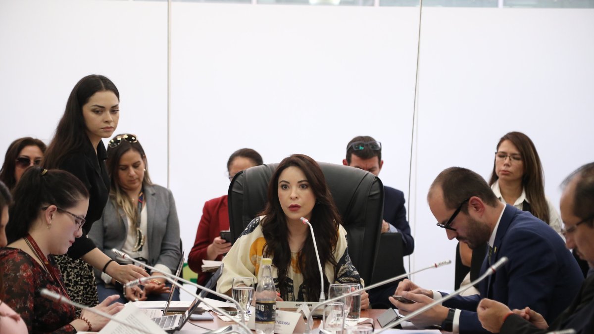La legisladora correísta Pamela Aguirre preside la Comisión de Fiscalización.