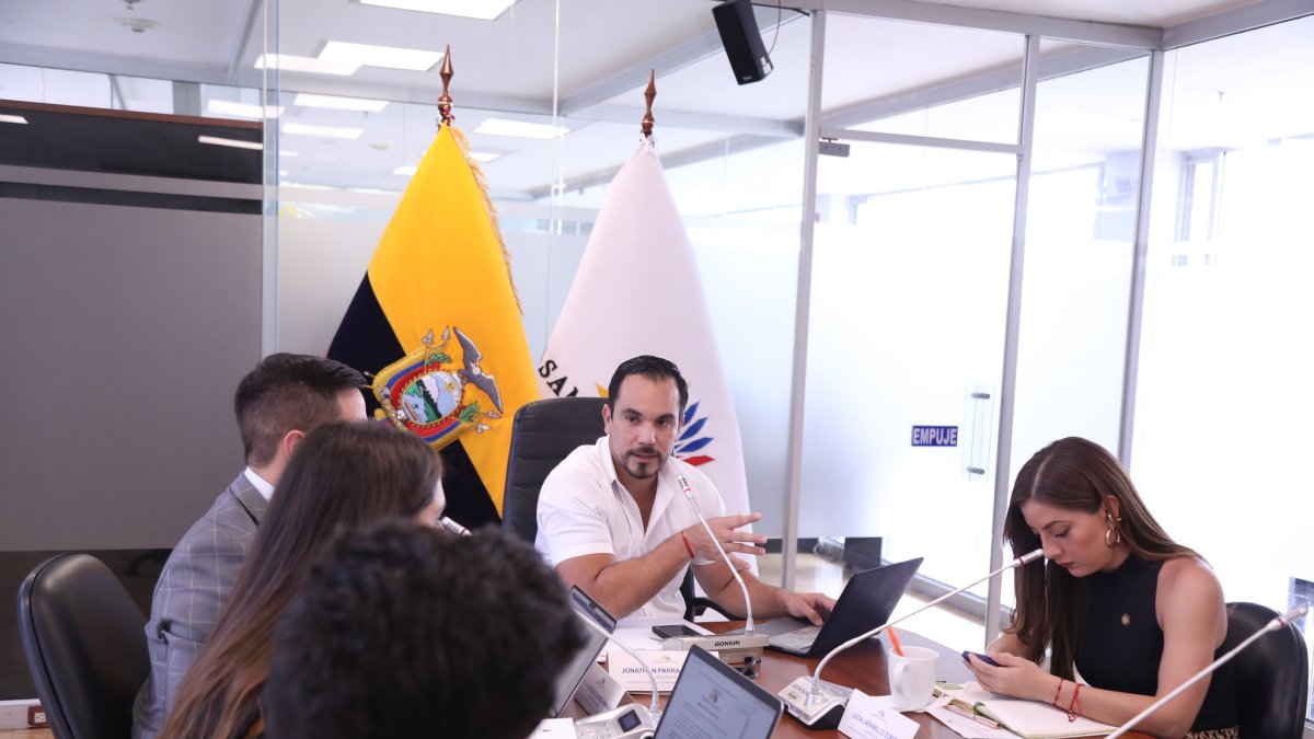 El asambleísta oficialista y presidente de la mesa de Relaciones Internacionales de la Asamblea Nacional, Jonathan Parra, también fiscalizará el ingreso a la Embajada de México.