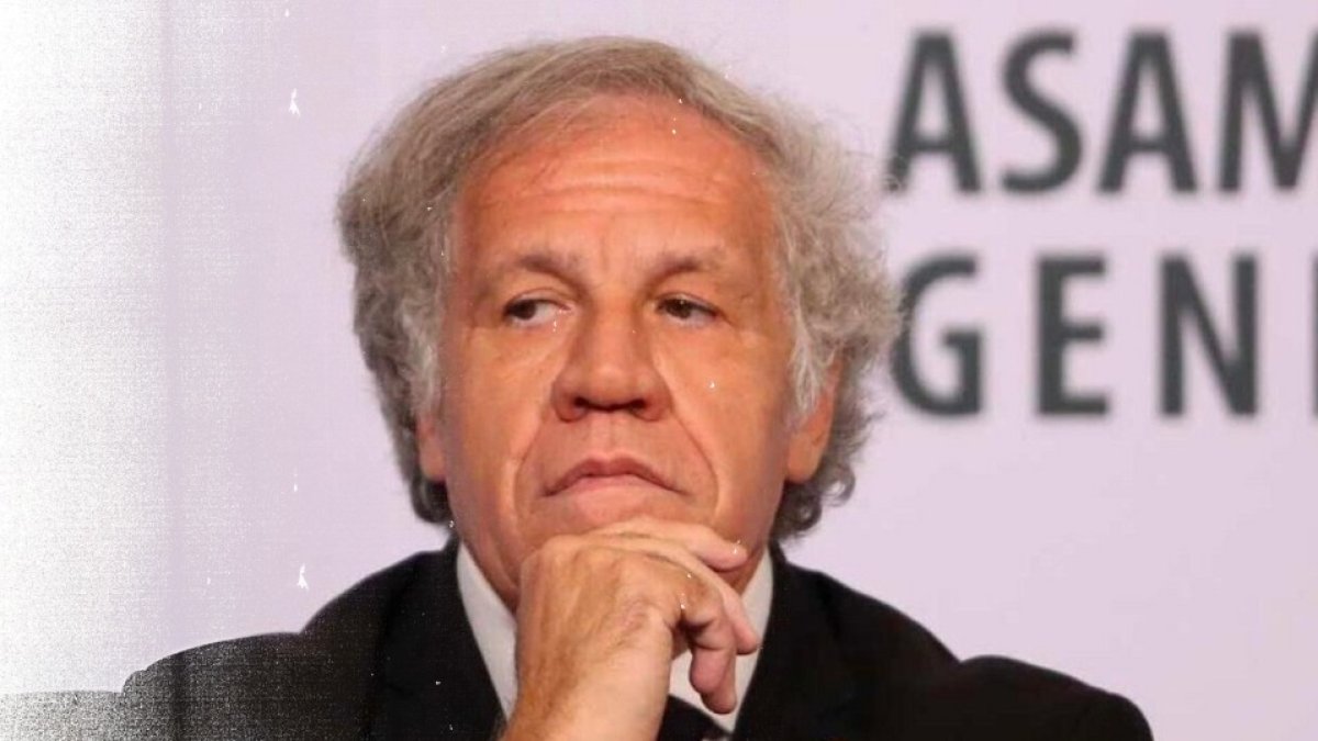 Para el secretario general de la Organización de Estados Americanos (OEA), Luis Almagro, se debe retomar