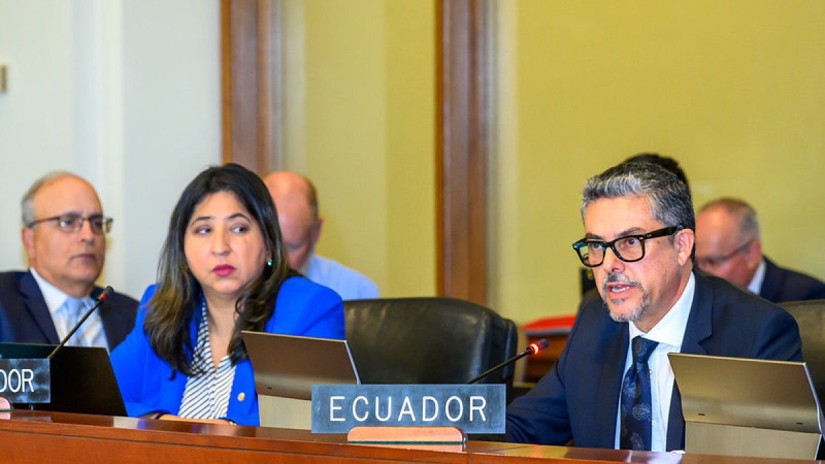 El vicecanciller, Alejandro Dávalos, fue el representante de Ecuador en la Sesión Extraordinaria de la OEA.