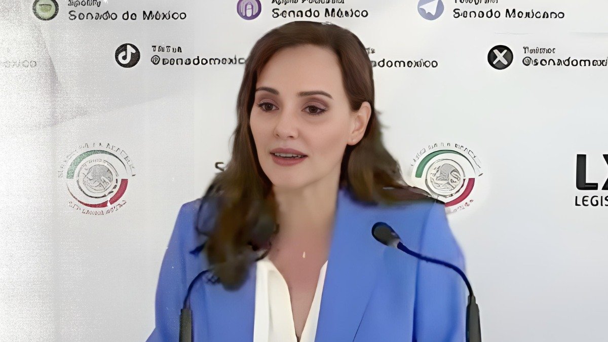 Senadora mexicana señaló que el presidente de México ridiculizó al país.