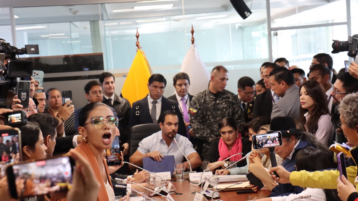 La asambleísta correísta Jahaira Urresta increpó a legisladores, durante la comparecencia.