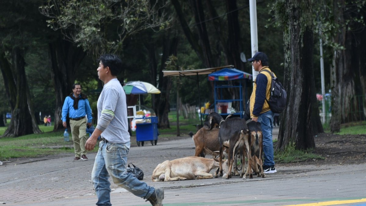 En varios puntos de la ciudad se ha identificado la venta de leche.