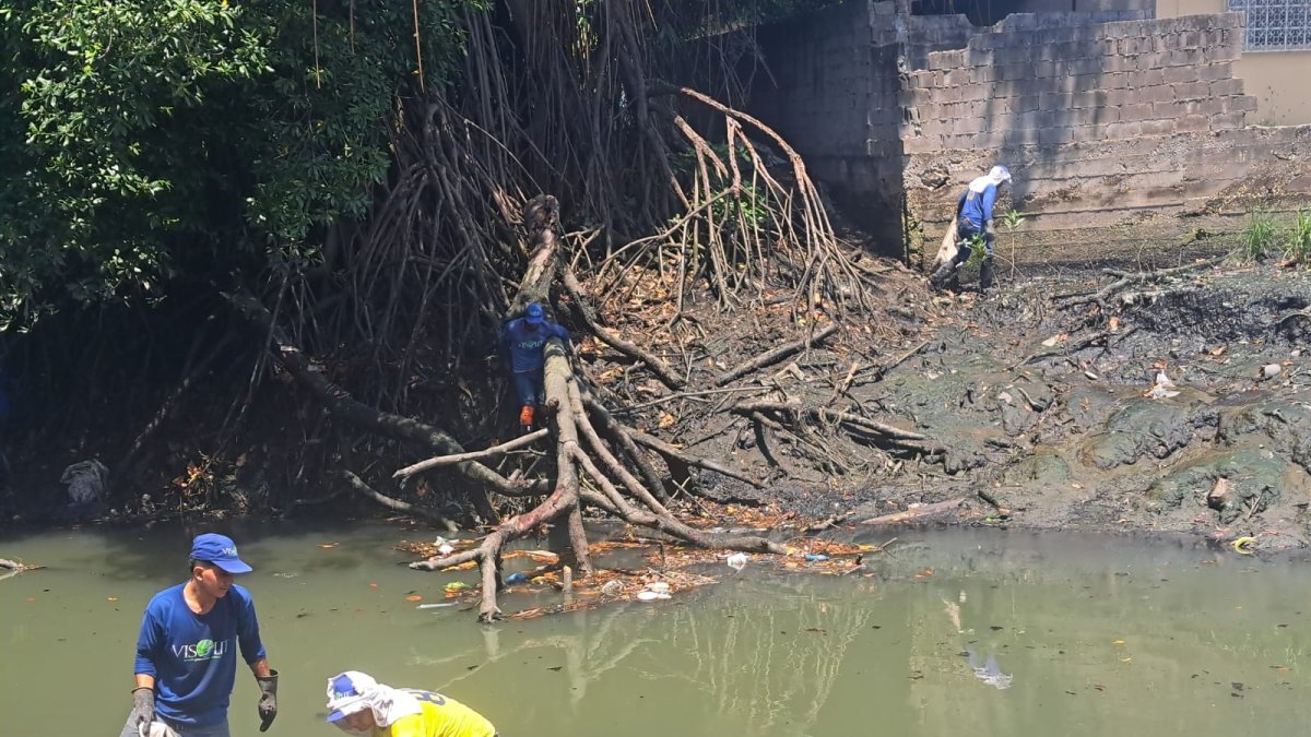 Después de las quejas de la ciudadanía, el Cabildo tomó acción ante la problemática.