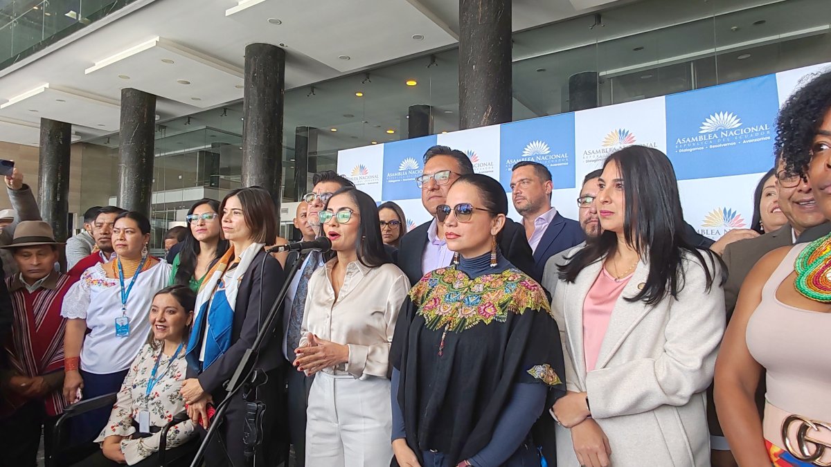 La bancada correísta reiteró que inscribirá formalmente a sus legisladores ante el CNE como oposición política.