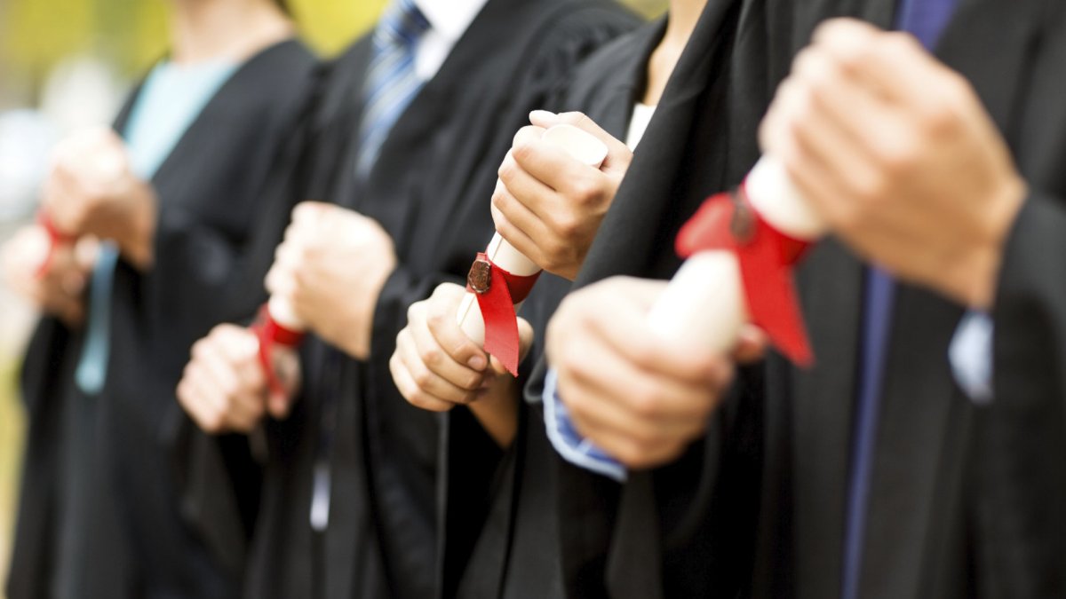 TECH Universidad ofrece un amplio catálogo de programas online que cumplen con altos estándares de calidad.