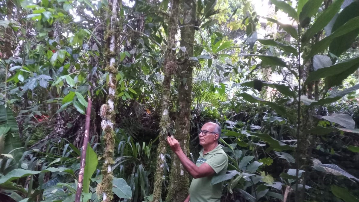 Estudio. Omar investiga constantemente sus plantas, flores y los nuevos insectos.