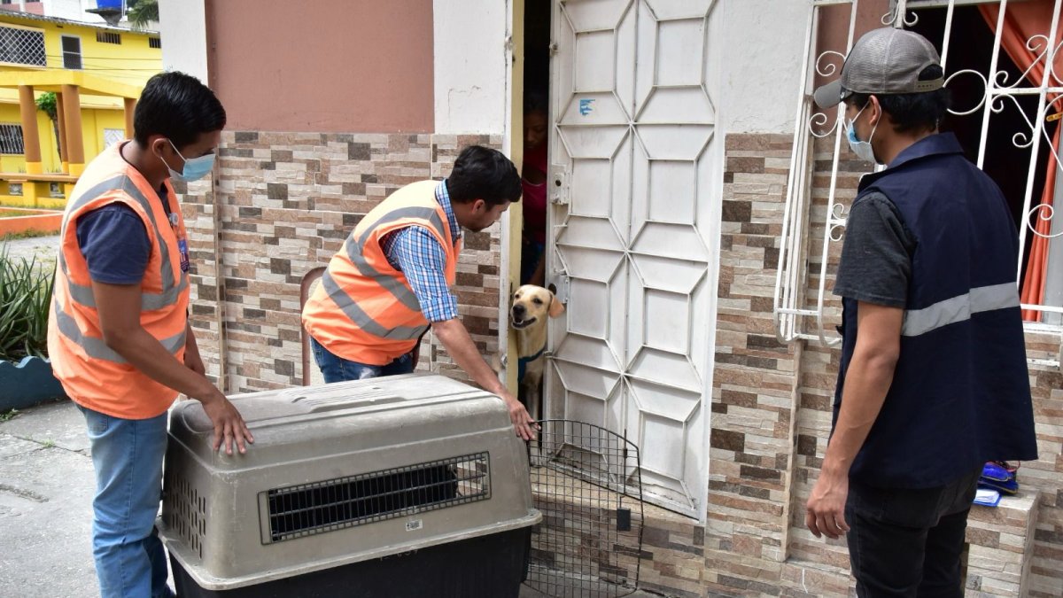 El caso lo informó el Municipio este viernes 12 de abril.