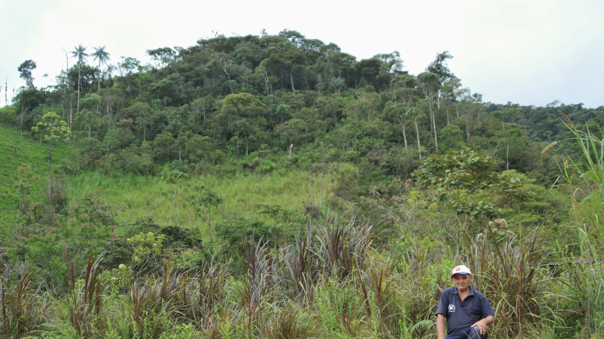 José Jiménez, de 81 años, posa delante del bosque que desde hace quince años protege, en San Andrés, Zamora Chinchipe.
