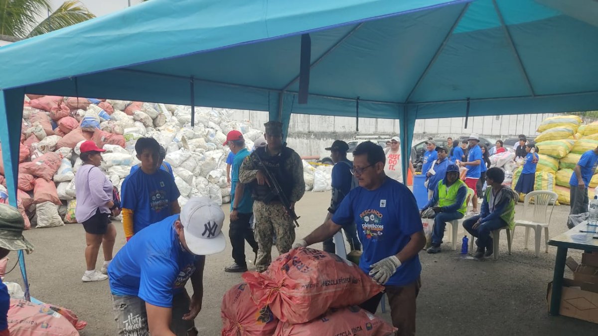 Limpieza.- Las fundas de basura que se han retirado del manglar del río Guayas.