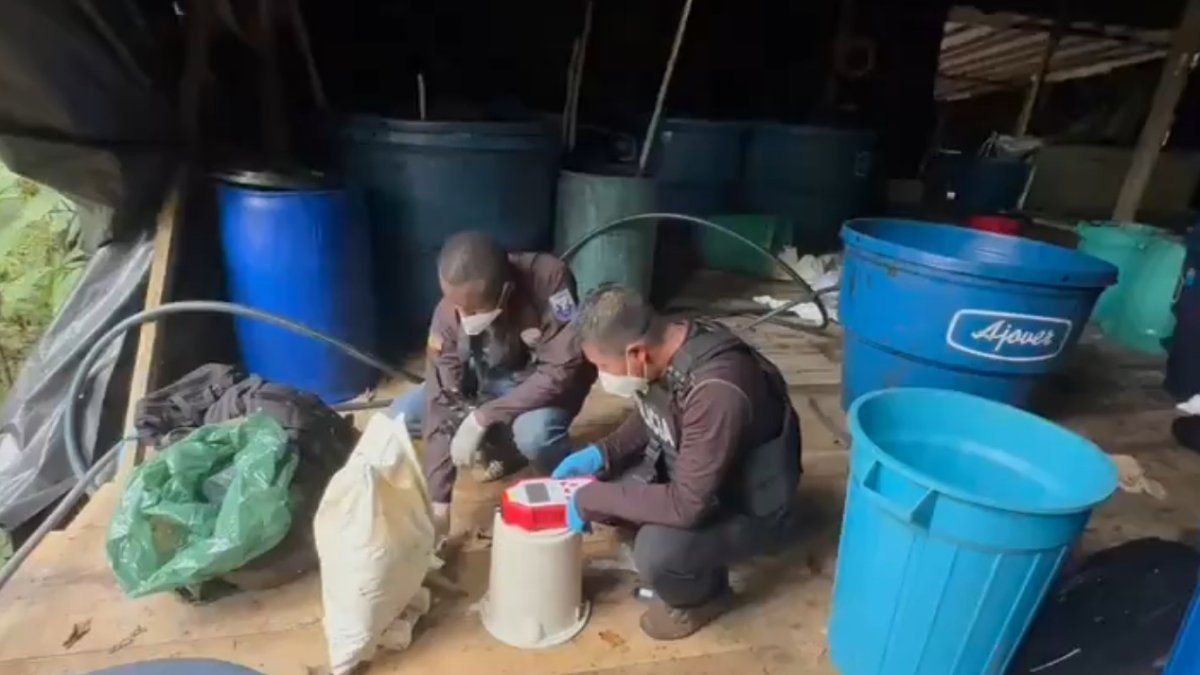 Laboratorio. Policías comprueban el tipo de alcaloide abandonado.