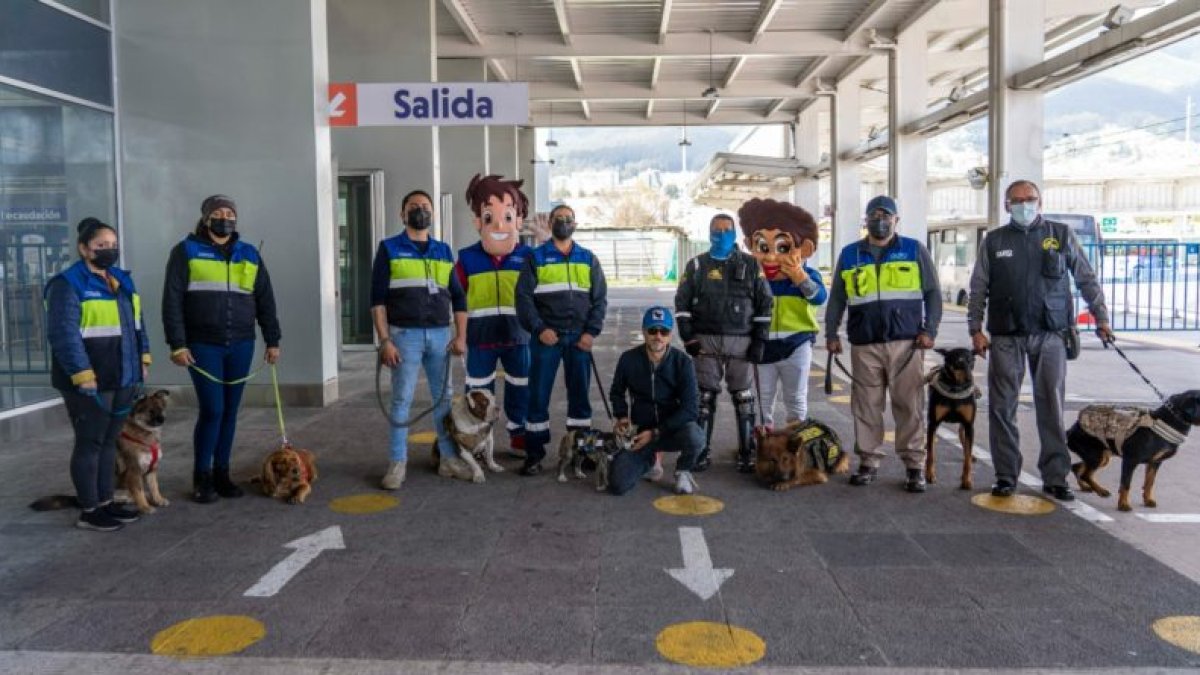 En 2022, la Empresa de Transporte de Pasajeros adoptó a 42 perros.