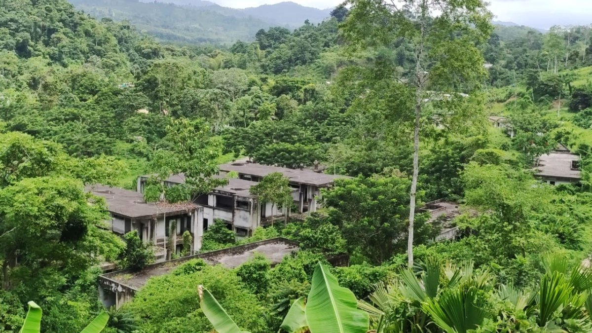 Maleza. Entre la vegetación, se esconde una construcción paralizada de una Escuela del Milenio en la zona rural de Pedernales. Los niños no pueden estudiar.