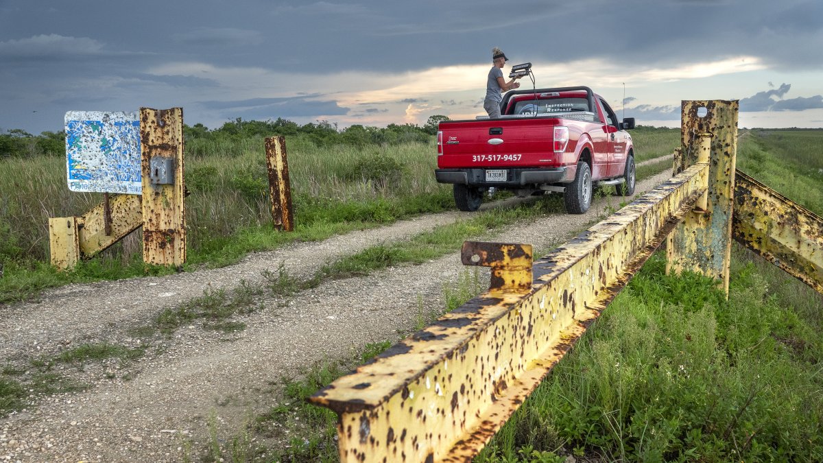 Parque nacional de los Everglades, en Estados Unidos se dañaría por los cambios climáticos