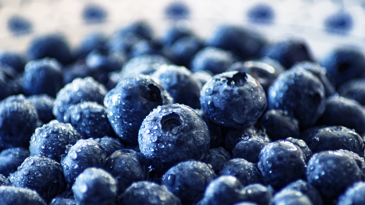 Este es el fruto de la longevidad. Descubra cuáles son sus beneficios