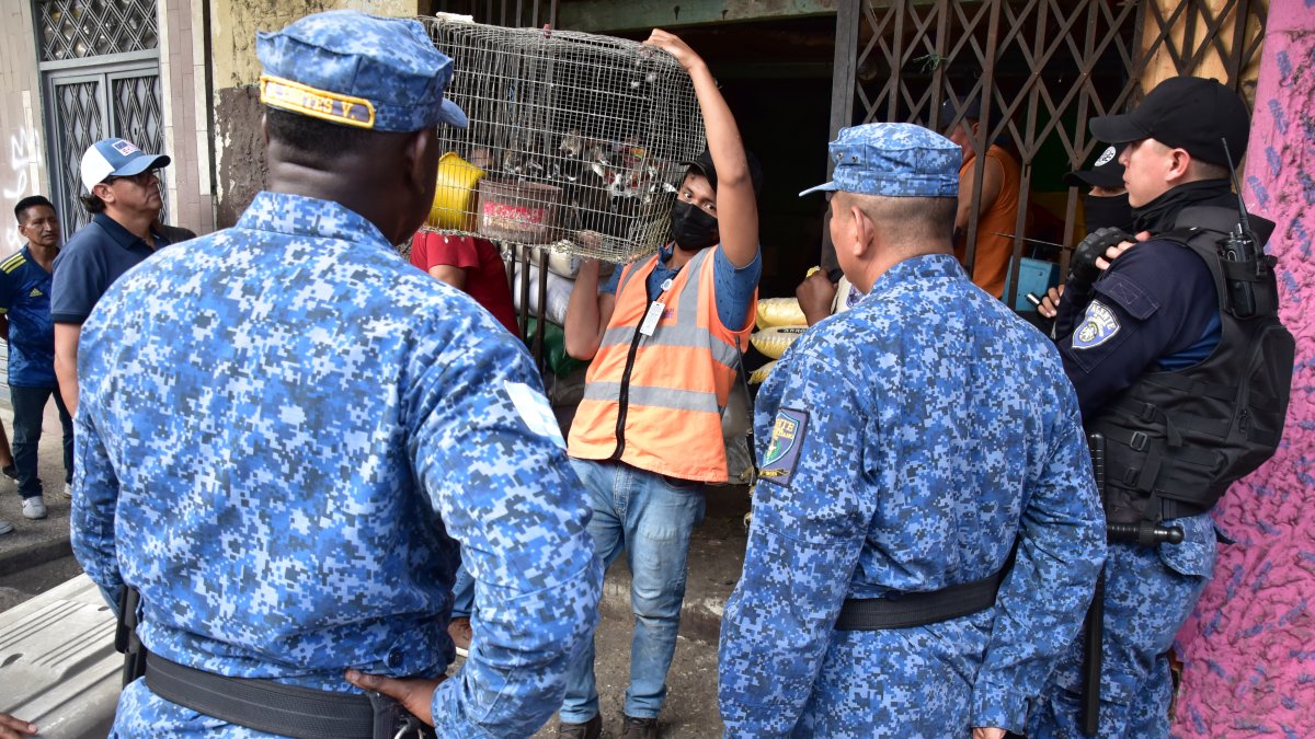 Las autoridades realizaron los controles por denuncias ciudadanas