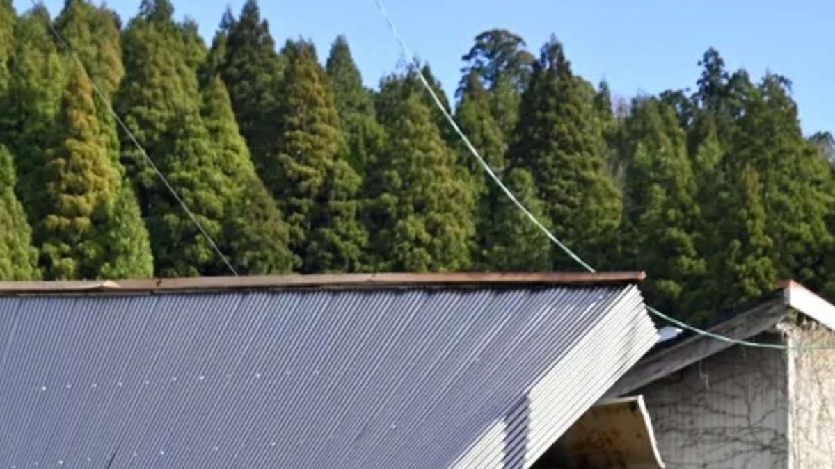 Toon. Una persona observa los daños causados por el sismo.