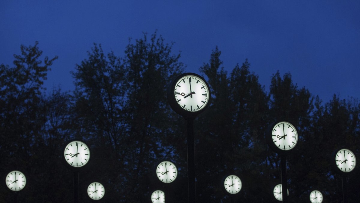 Las imágenes que suelen ser más novedosas para el espectador o distinguibles de otras suelen ser más memorables