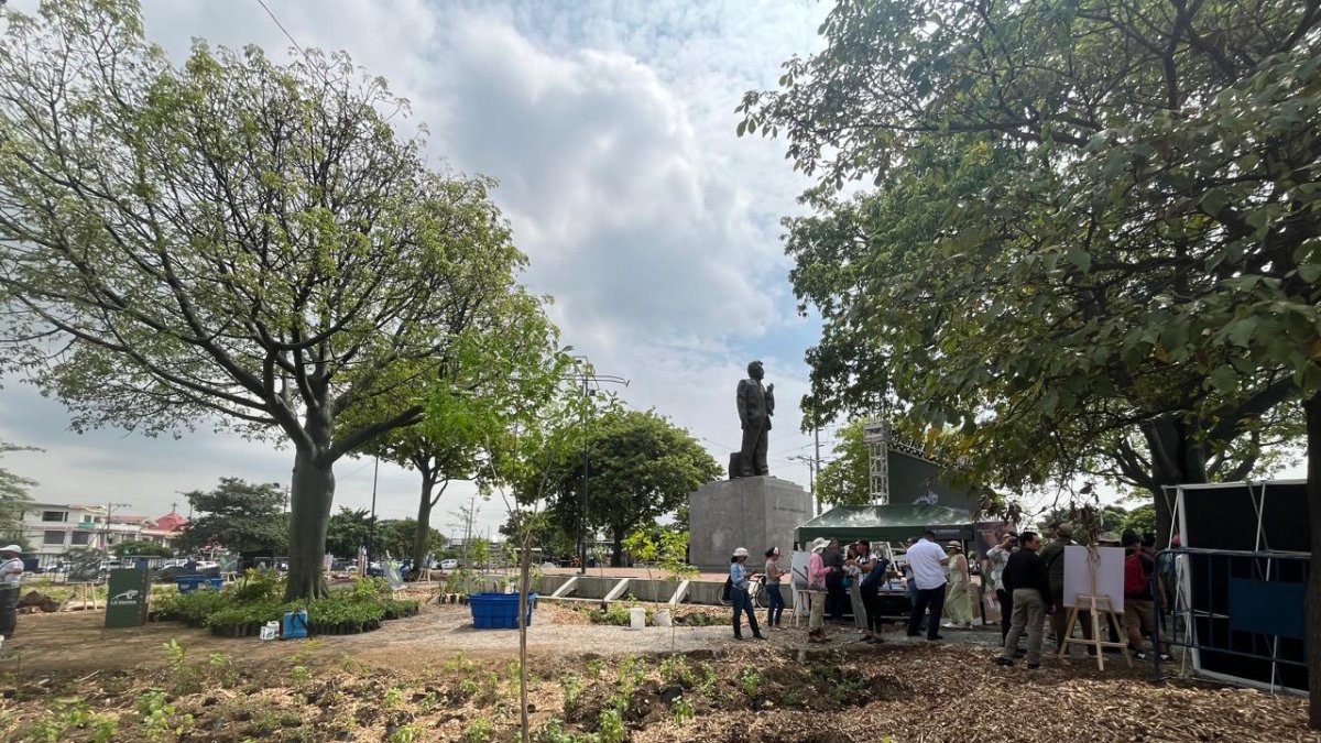 Así luce actualmente el redondel ubicado en Sauces 6