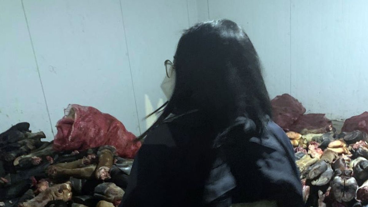 Durante el operativo también se decomisó 1.500 patas de res.