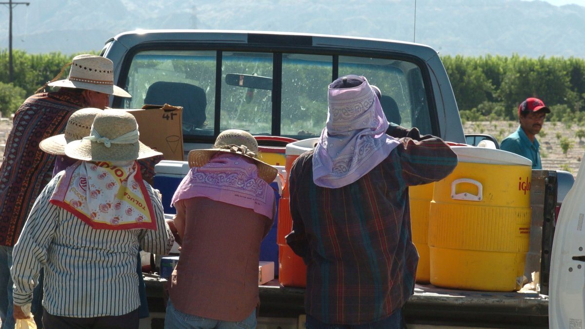 Una familia tomando agua durante un descanso en un campo agrícola.