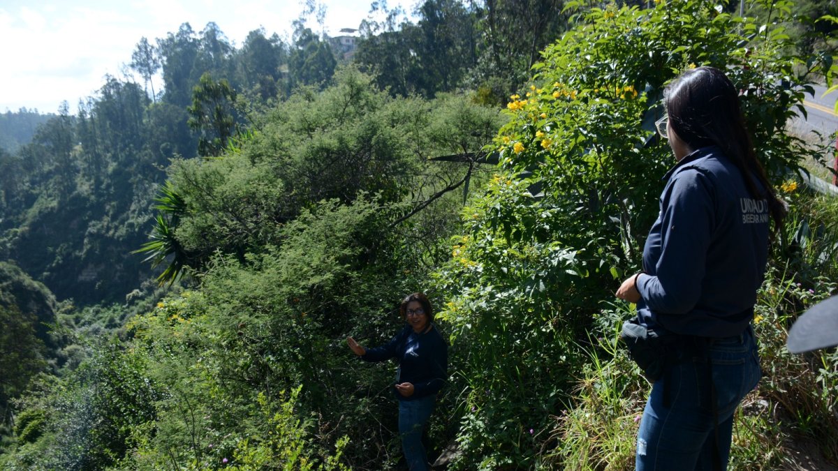 Imagen referencial. En Quito, los funcionarios de la Unidad de Bienestar Animal (UBA) realizan controles para verificar la correcta tenencia de las mascotas.