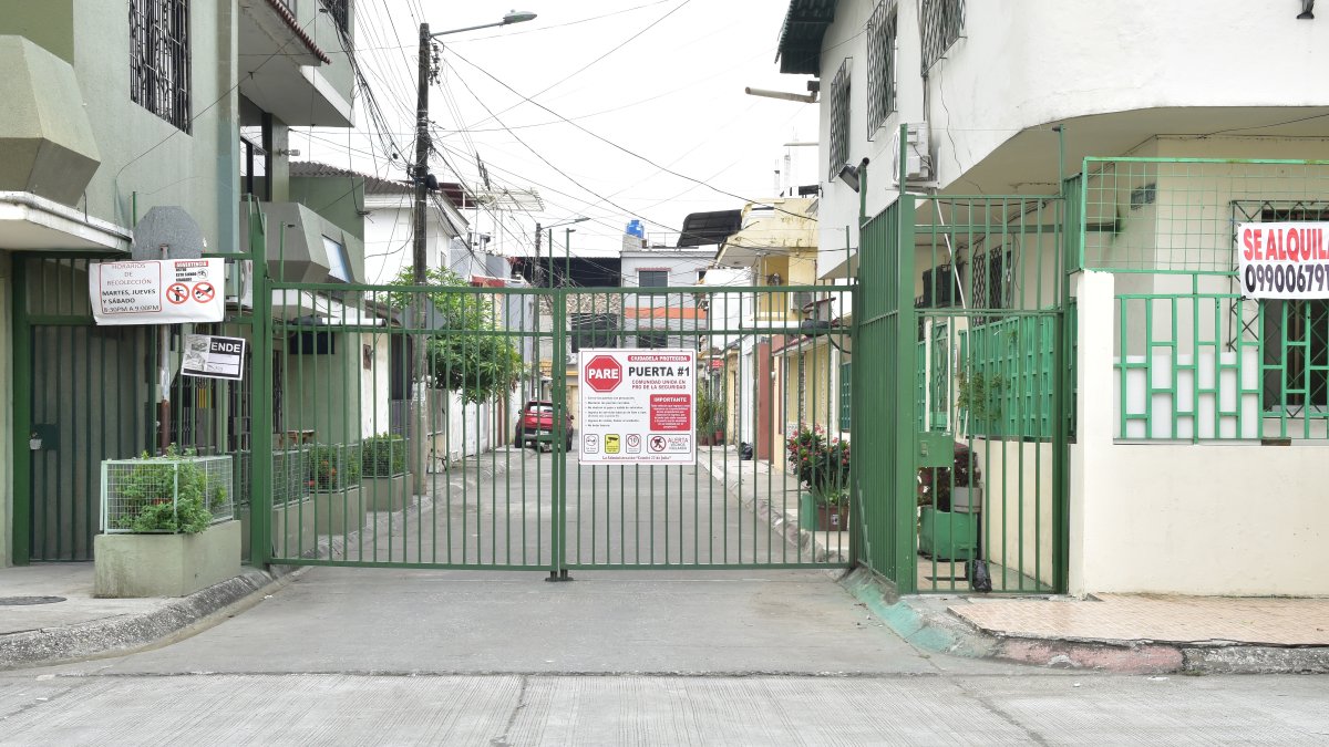 Elementos. Desde el 19 de enero rige en Guayaquil la normativa.