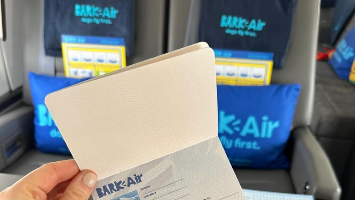 Bark Air es la primera aerolínea exclusiva para perros.