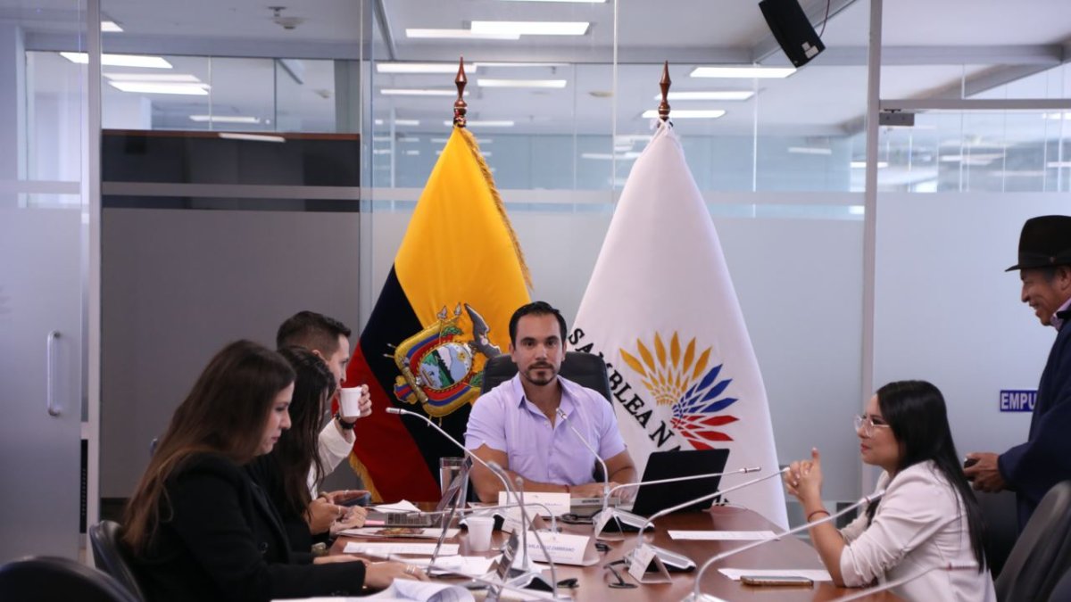 La reforma es tramitada por la comisión de Relaciones Internacionales, presidida por el asambleísta gobiernista Jonathan Parra.