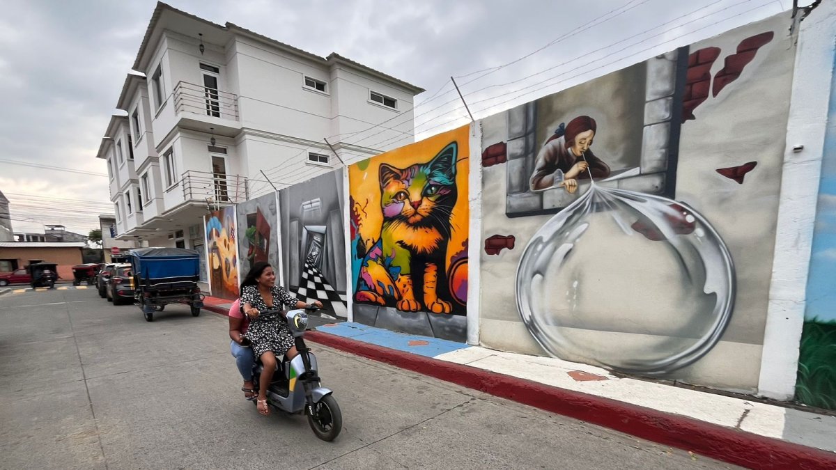 Paredes. Los muros del barrio Las Tejerías fueron los lienzos del artista plástico Christian Jiménez.