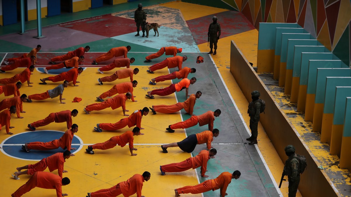 Solicitó que se garanticen los derechos de las personas detenidas y que restablezca de inmediato el acceso a alimentación y medicación.