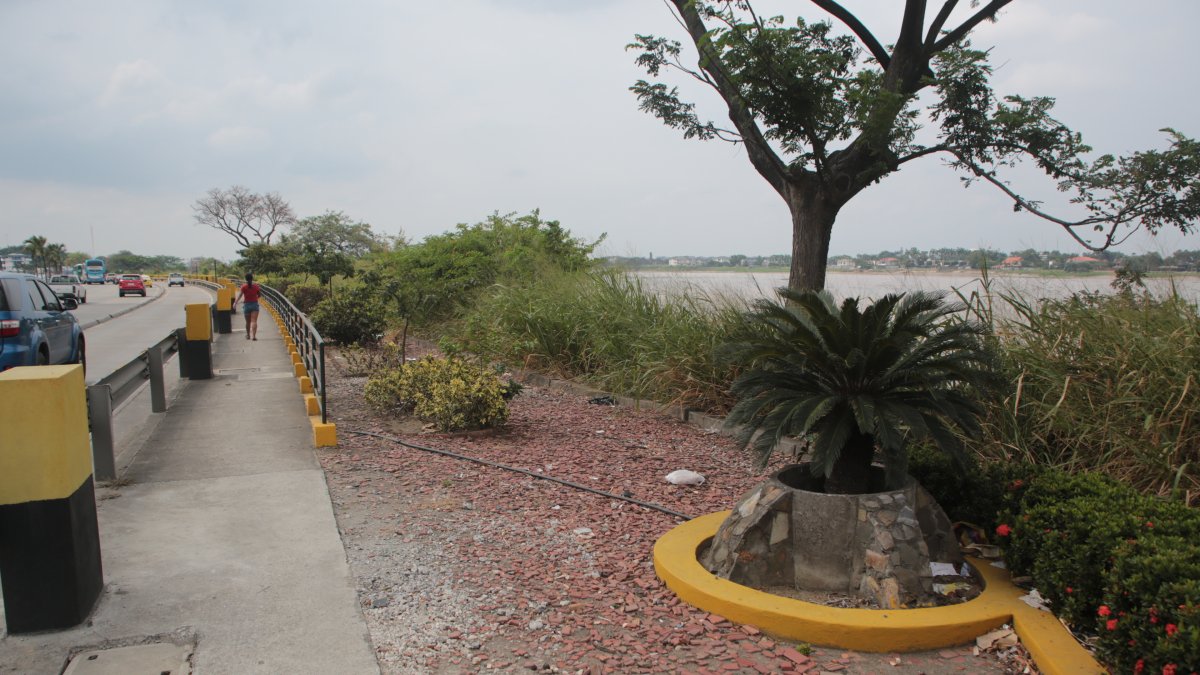 La avenida Benjamín Rosales, en el norte de Guayaquil.