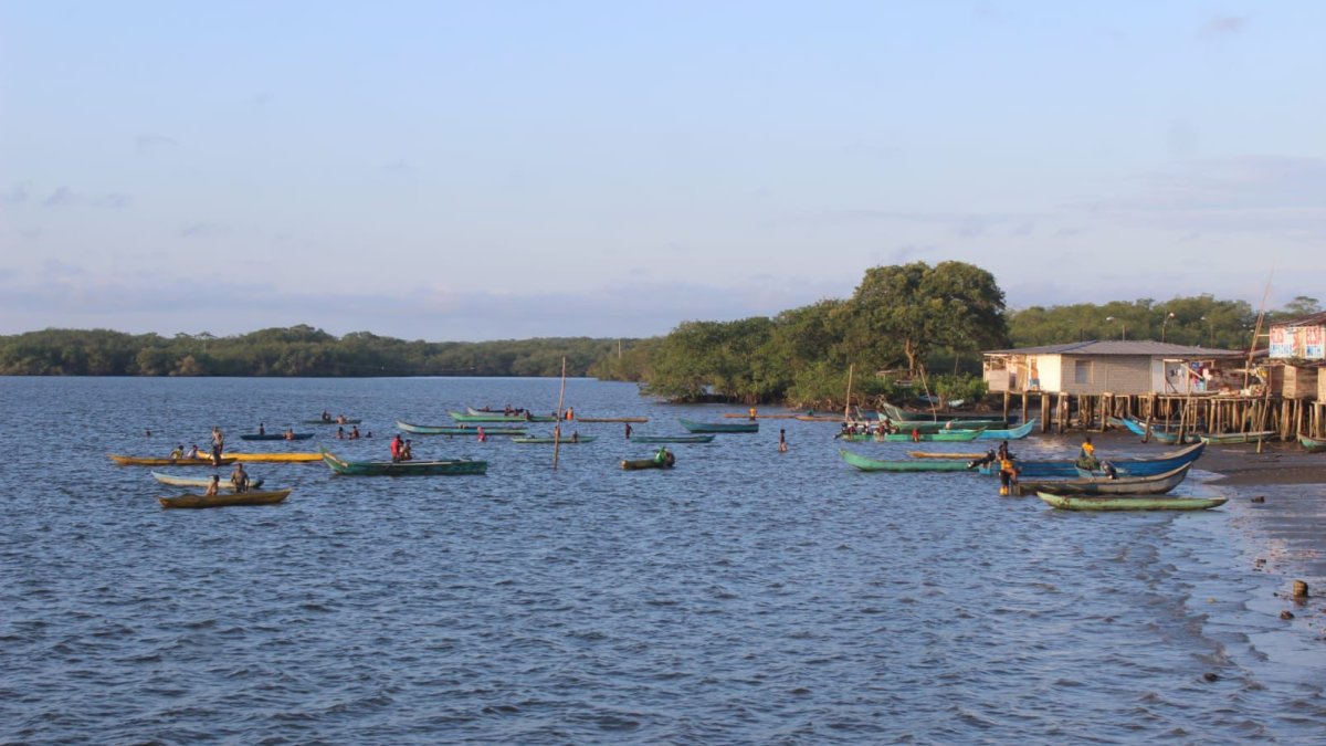 Recolectores de concha salen en canoa hasta los manglares desde el recinto Pampanal, en el norte de Esmeraldas.