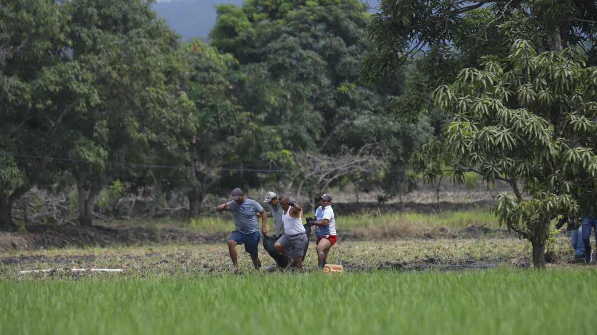 La séptima víctima fue encontrada en la misma zona, la mañana de este sábado. Policías acudieron al punto.