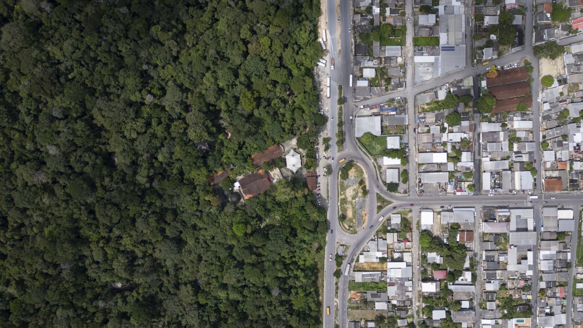 Fotografía aérea tomada con un dron que muestra la división entre la selva amazónica y la ciudad frente al Museo Amazonas, el 22 de abril de 2024.