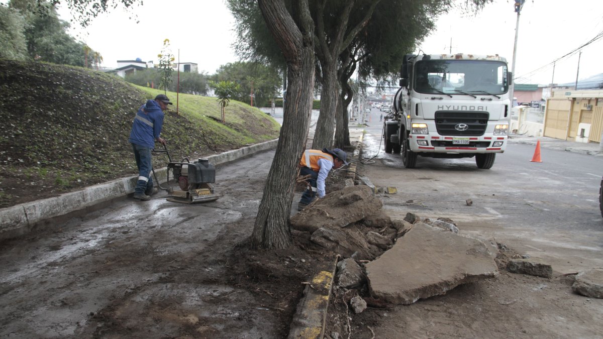 Adultos mayores son los usuarios más frecuentes del parque Dammer 1. En este sitio se mejorarán las caminerías y se colocarán juegos biosaludables.