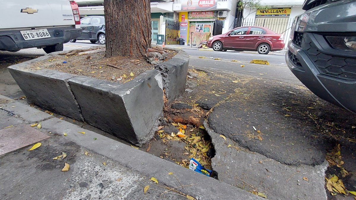 Una jardinera dañada en las calles 10 de Agosto y Los Ríos.