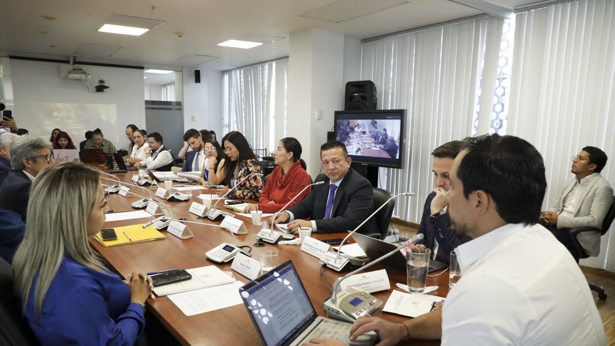 El proyecto de reforma es tramitado por la Comisión de Relaciones Internacionales de la Asamblea Nacional.