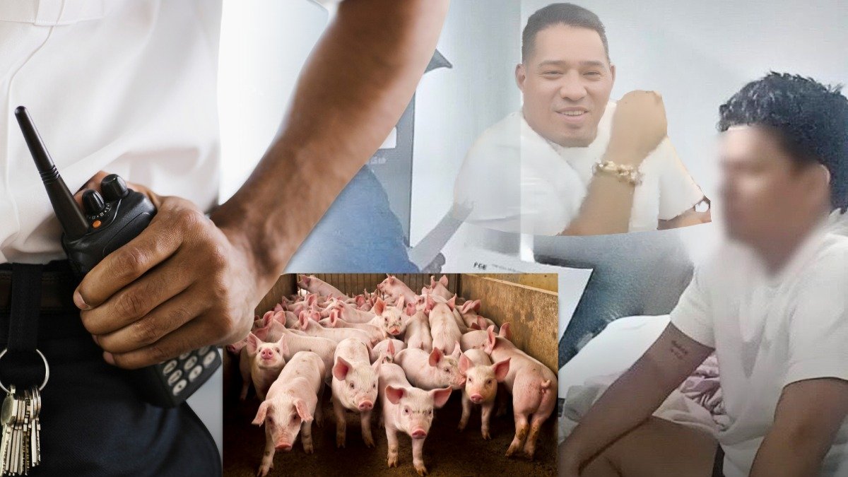 El hijo de Junior Roldán levantó dos empresas desde el 2021, que no han tenido mayor actividad, según los documentos.