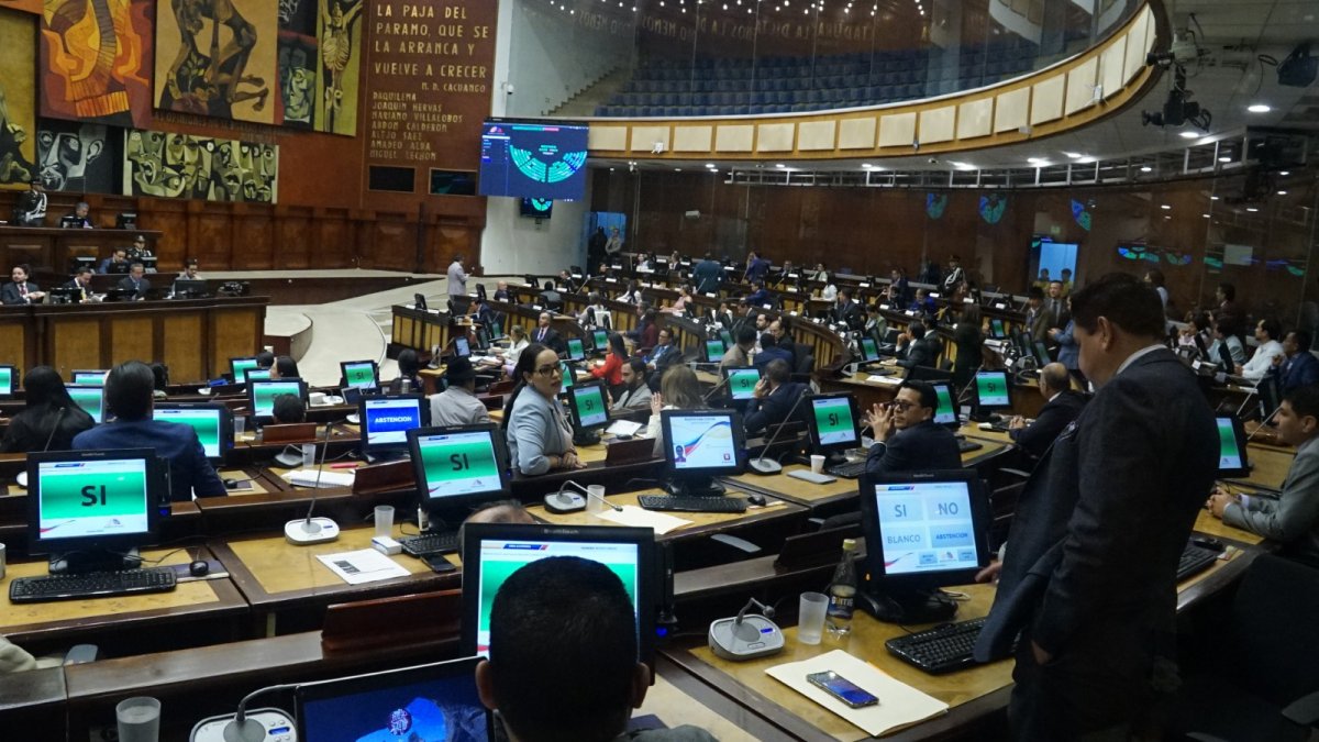 Pleno. La bancada de gobierno, a través de la asambleísta Nicole Saca, mocionó la destitución del exministro Fernando Santos Alvite.